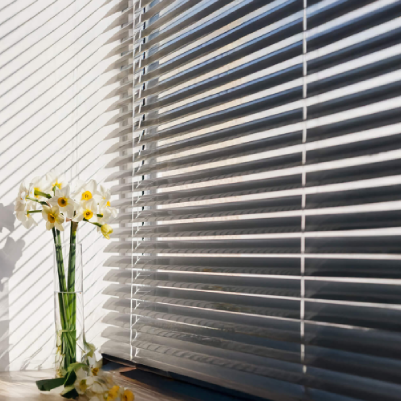 Louver Window